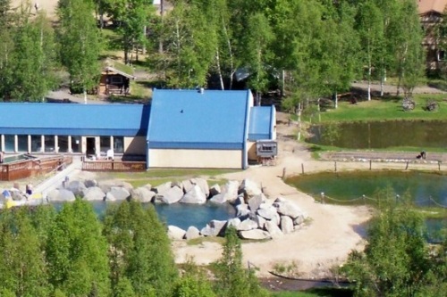 Chena Hot Springs Resort 001